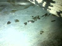 IMG-20131116-00079